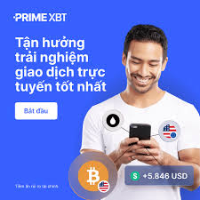 Unleashing Trading Potential PrimeXBT Website