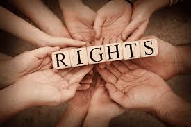 Championing Justice The Role of Human Rights Attorneys 1361113848