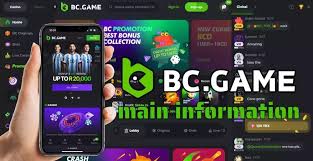 Comprehensive Guide to BC.Game Deposit Methods 597846660