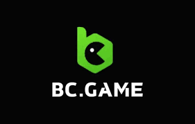Comprehensive Guide to JB Coin on BC.Game